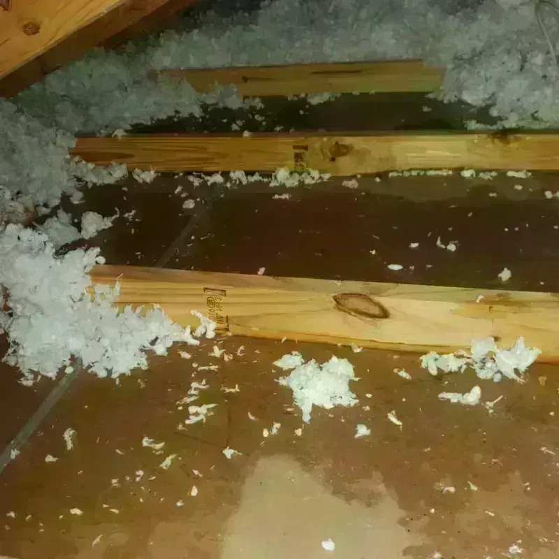 Attic Water Damage in Greeley, NE