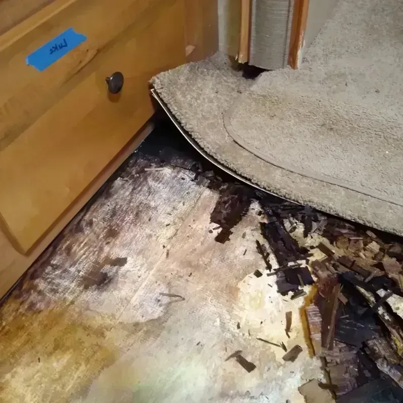 Best Wood Floor Water Damage Service in Greeley, NE